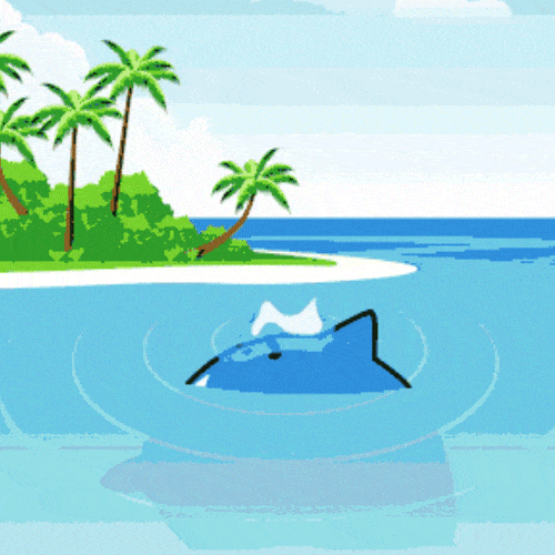 DolphinJoy